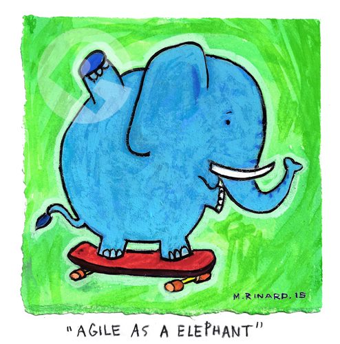 Matt Rinard Agile as an Elephant